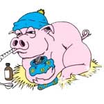 лечение и профилактика маститов у свиноматок