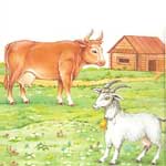 Остеомаляция у коров и коз