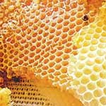выделение пчелами воска