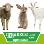 Премиксы для овец, коз и кроликов