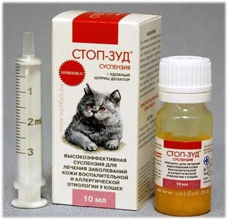 Аллергия на кошек – симптомы и лечение