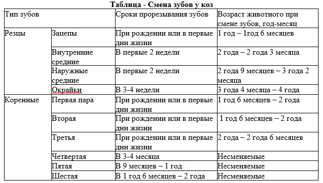 Как определить возраст козы по рогам фото