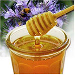 Фацилиевый мед как средство профилактики и лечения