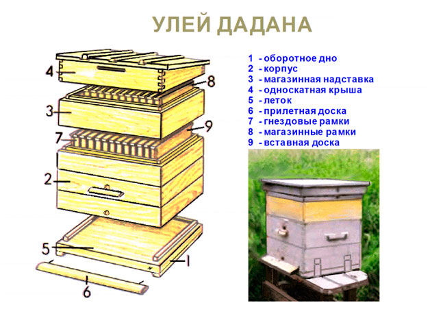 Пчелиные ульи